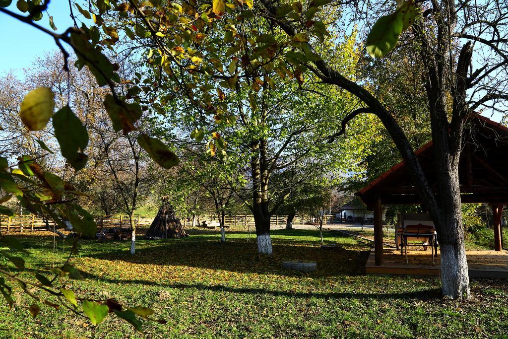 Pensiunea Moara Lu Antone Orastioara de Sus Exterior foto